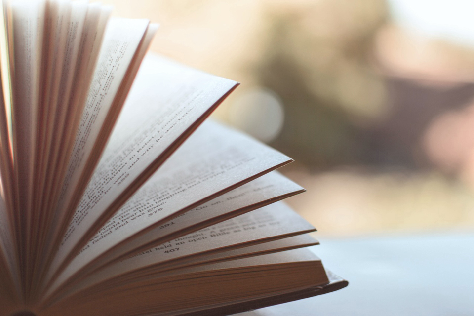 A picture of a book, open with the pages flared up, with an unfocused background.